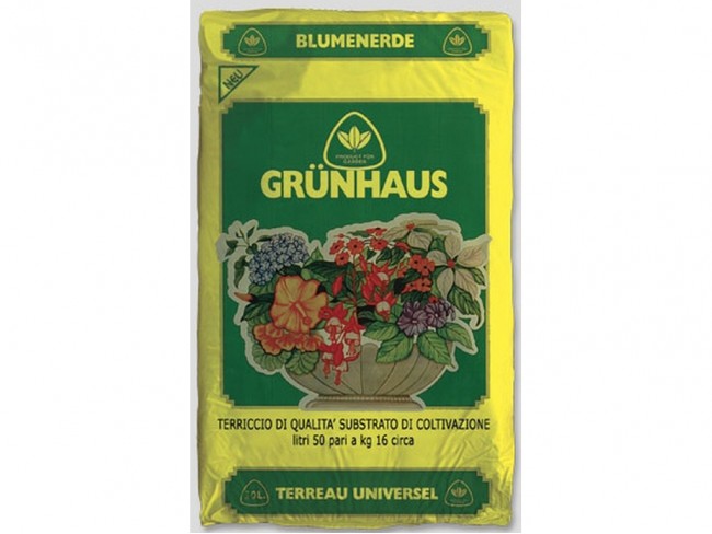TERRICCIO GRUNHAUS LT. 10