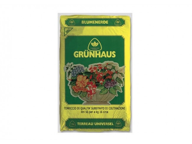 TERRICCIO GRUNHAUS LT. 20