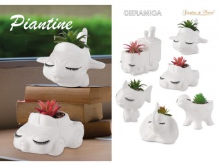 GIARDINI DI MARZO LINEA HOME VASETTO BIANCO CON PIANTINA
