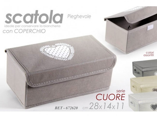 SCATOLA SALVASPAZIO GICOS CON COPERCHIO CM 28X14X11