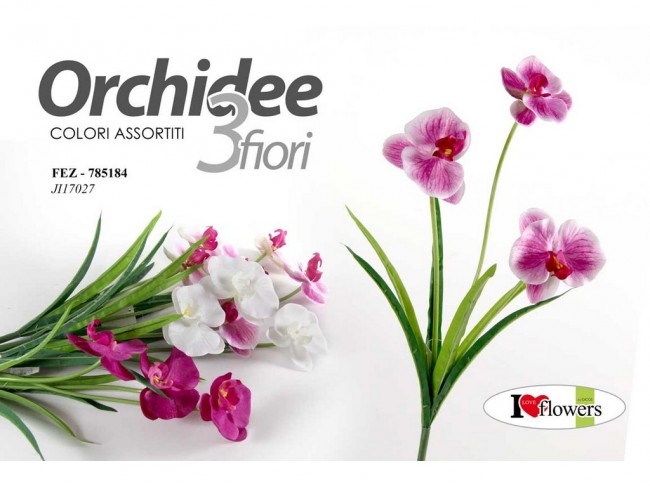 fiore gicos mazzolino orchidee