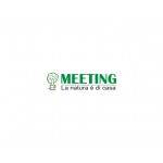 Meeting